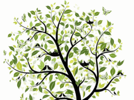 L'arbre du moi